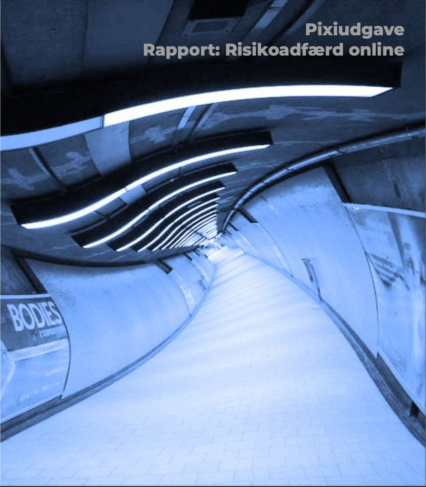 Rapport om risikoadfærd online. Center for Digital Pædagogik. 